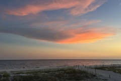 IMG_4471