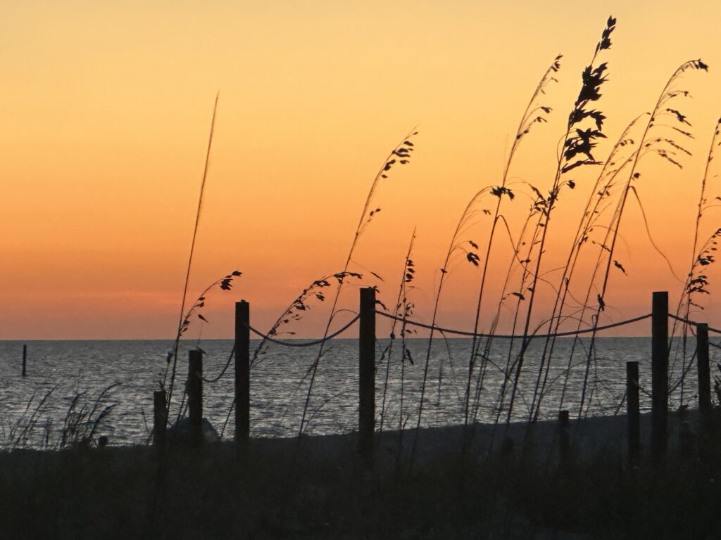Sandpiper Properties of Mexico Beach